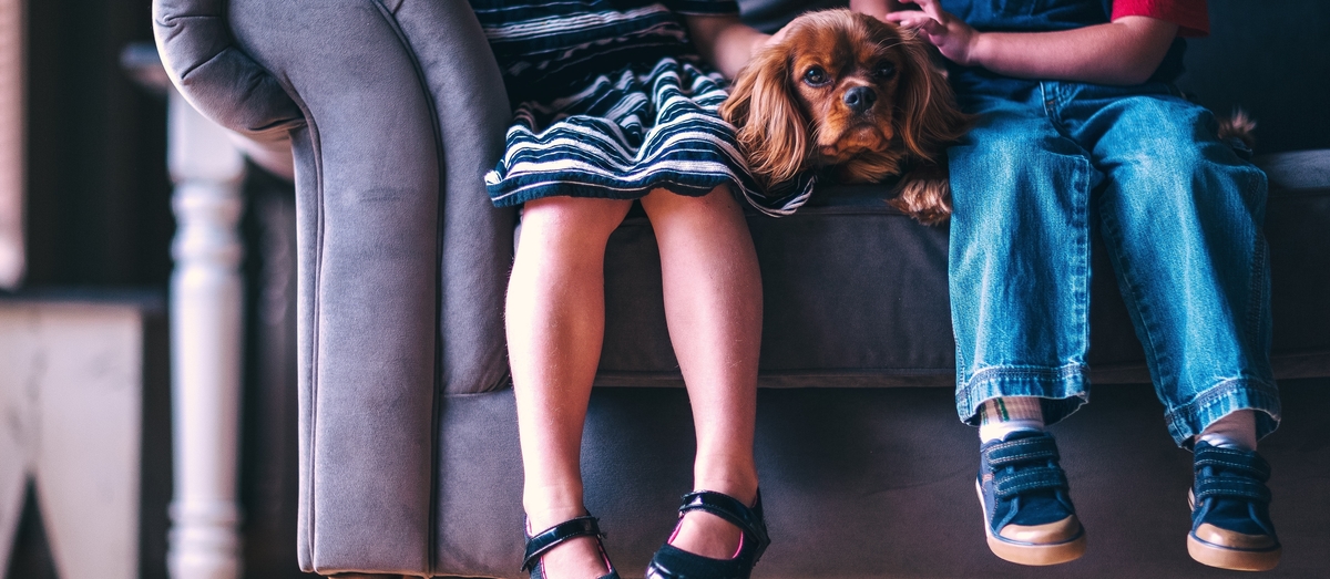 10 Awesome Tips for Giving Evidence in the Family Law Court